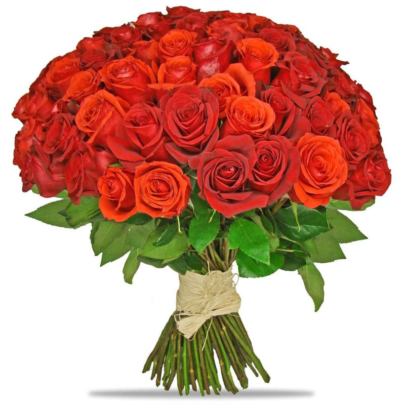 101 червона троянда