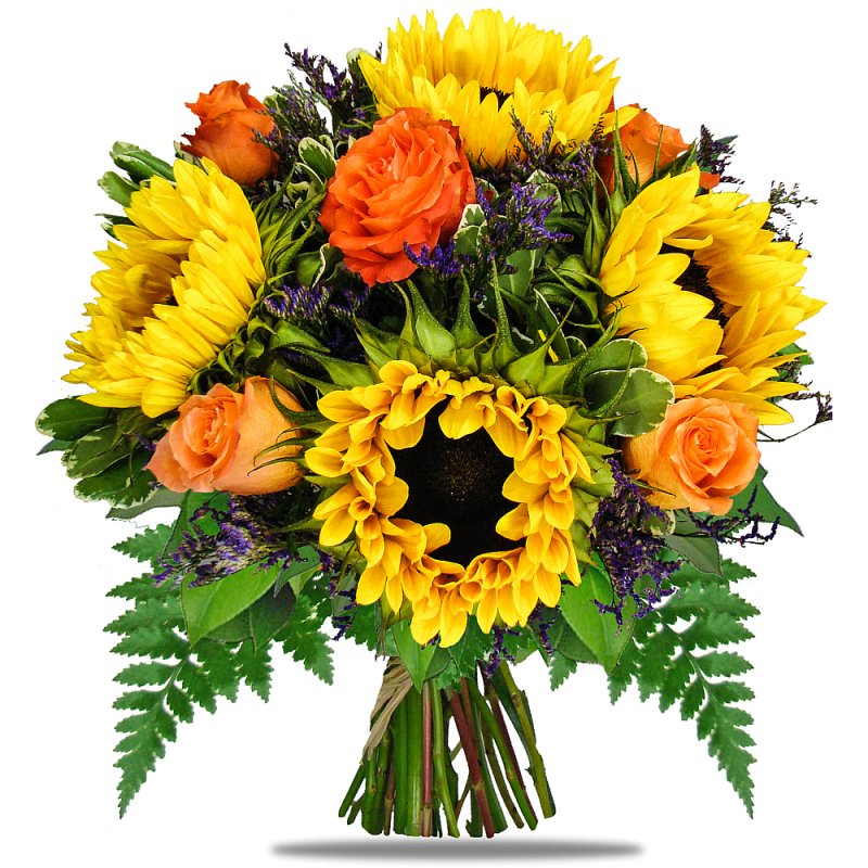 Sonnenblumen und Rosen