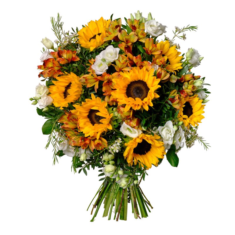 Sonnenblumen und Eustoma
