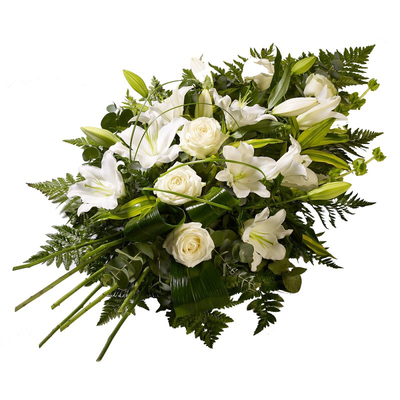 Grün & Weiß Sympathie